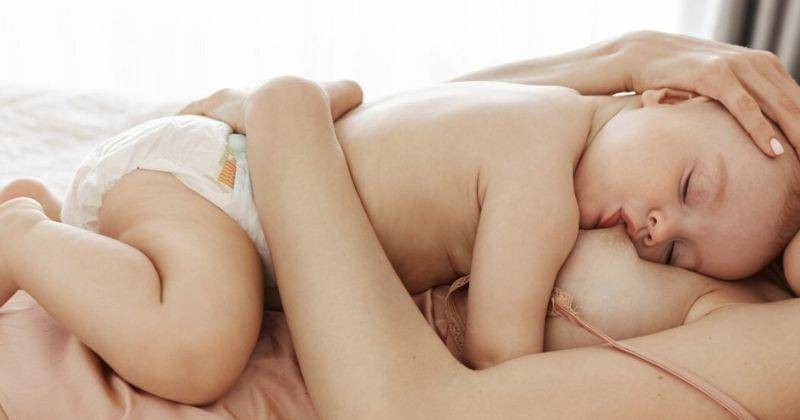 Freepik/cookie_studio